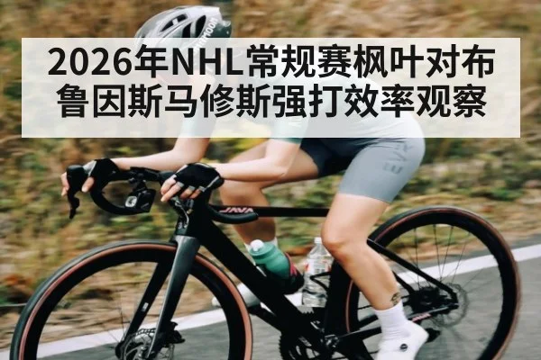 2026年NHL常规赛枫叶对布鲁因斯马修斯强打效率观察